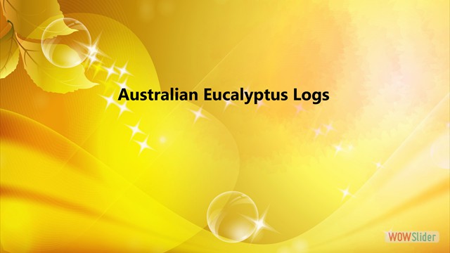 Australain Eucalyptus Logs