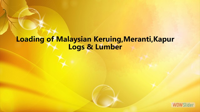 Malaysian Logs