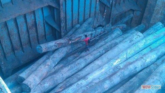 keruing log 8