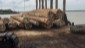 keruing log 3