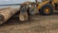 keuring log 2